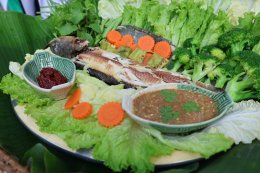 จัดกิจกรรมเนื่องในวันเบาหวานโลก