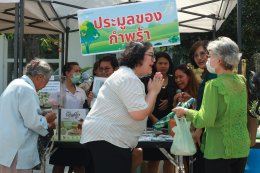 ตลาดนัด RPP Green Day