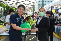 ตลาดนัด RPP Green Day