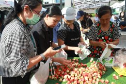 ตลาดนัด RPP Green Day