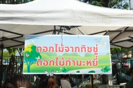 ตลาดนัด RPP Green Day