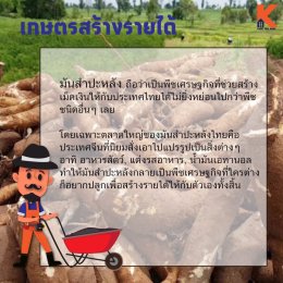 เกษตรสร้างรายได้