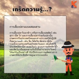 เกร็ดความรู้ต่างๆ