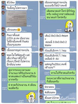 ปัญหาภายใน