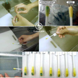 ชุดทดสอบโปรตีนตกค้าง Rapid Test ง่าย สะดวก ประหยัด GMP
