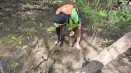 TTLC ปลูกด้วยใจให้เติบโตไปพร้อมกัน 