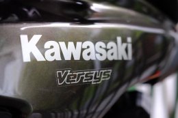 The Harmony of SiamMotobike