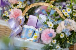 'เอ๋ - พรทิพย์' ควง 'ป๋อ - ณัฐวุฒิ' คัมแบ็กแบรนด์สุขภาพ เปิดตัว Aelova Lava Plus สูตรใหม่ วิตามินเม็ดฟู่ ทางเลือกดูแลสุขภาพในชีวิตประจำวัน