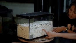 'ชมพู่' ขอขมาสามี เสาร์ที่ 28 นี้ ห้ามพลาดในรายการ "มิคเบนซ์เป็นหนึ่ง" ทาง #ช่อง9กด30