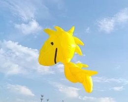 1 ปีมีครั้ง! เทศกาลว่าวนานาชาติ "Pattaya International Kite on the Beach 2025" ที่เซ็นทรัล พัทยา เตรียมพบ Snoopy and the Peanuts ว่าวสุดคิวท์ 12 เมตร พร้อมพาเหรดว่าวยาวที่สุดในไทย กว่า 1 ก.ม. รับแคมเปญ Summer Invitation เริ่ม 26 ก.พ.2 มี.ค. 68