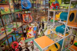 สนุกยกบ้าน! เซ็นทรัล ขอนแก่น เปิด HarborLand แห่งล่าสุด คอนเซปต์ "Bugs Festival" โลกแมลงจิ๋ว ย้ำแลนด์มาร์คแห่งความสุขภาคอีสาน