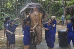 23 สาวงาม "มิสอินเตอร์เนชั่นแนลควีน 2025" จากทั่วโลกเข้าร่วมกิจกรรมต้อนรับ และเก็บตัวที่เชียงใหม่ สัมผัสมนต์เสน่ห์ล้านนาและศักยภาพ Soft Power ไทย 