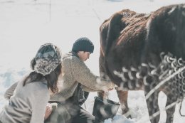 โจอี้ ภูวศิษฐ์ หน้าชา!! ดราม่าท่ามกลางลมหนาว เผยเบื้องหลังสุดโหดใน MV แสงดาว