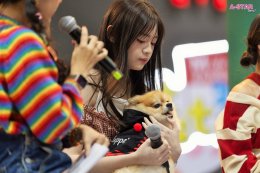 ต้าห์อู๋-ออฟโรด พร้อม 3 สาว BNK48 วาวา  แพรว  เกรฟ ร่วมเปิดอาณาจักรสัตว์เลี้ยงสุดคิวท์ ในงาน "THE MALL LIFESTORE BANGKAPI PET FEST 2025"