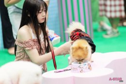 ต้าห์อู๋-ออฟโรด พร้อม 3 สาว BNK48 วาวา  แพรว  เกรฟ ร่วมเปิดอาณาจักรสัตว์เลี้ยงสุดคิวท์ ในงาน "THE MALL LIFESTORE BANGKAPI PET FEST 2025"