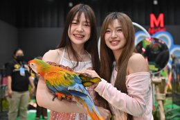 ต้าห์อู๋-ออฟโรด พร้อม 3 สาว BNK48 วาวา  แพรว  เกรฟ ร่วมเปิดอาณาจักรสัตว์เลี้ยงสุดคิวท์ ในงาน "THE MALL LIFESTORE BANGKAPI PET FEST 2025"