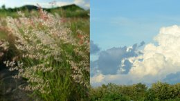 Bonanza ผุดเทศกาล “BEATFOREST” เนรมิตผืนป่าที่จะโอบกอดคุณด้วยธรรมชาติ ศิลปะ และดนตรี ที่ไม่ควรพลาด!