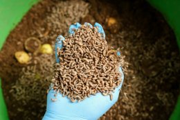 ซีพี แอ็กซ์ตร้า ยกระดับโมเดล "ลดทิ้ง สร้างค่า AXTRA Zero Waste" จัดการอาหารส่วนเกินครบวงจร ตั้งแต่ต้นน้ำถึงปลายน้ำ พร้อมสร้างเศรษฐกิจหมุนเวียน