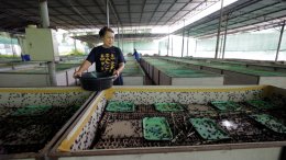 ซีพี แอ็กซ์ตร้า ยกระดับโมเดล "ลดทิ้ง สร้างค่า AXTRA Zero Waste" จัดการอาหารส่วนเกินครบวงจร ตั้งแต่ต้นน้ำถึงปลายน้ำ พร้อมสร้างเศรษฐกิจหมุนเวียน