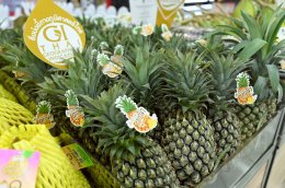 แม็คโคร-โลตัส คัดของไหว้ตรุษจีนคุณภาพจากเกษตรกรไทย ส่งต่อคุณค่าจากต้นทาง เติมความหมายในเทศกาลสำคัญ