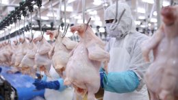 แม็คโคร-โลตัส คัดของไหว้ตรุษจีนคุณภาพจากเกษตรกรไทย ส่งต่อคุณค่าจากต้นทาง เติมความหมายในเทศกาลสำคัญ