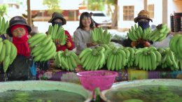 แม็คโคร-โลตัส คัดของไหว้ตรุษจีนคุณภาพจากเกษตรกรไทย ส่งต่อคุณค่าจากต้นทาง เติมความหมายในเทศกาลสำคัญ