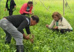 ซีพี แอ็กซ์ตร้า จัดตั้ง "ศูนย์เรียนรู้เกษตรบ้านโนนเขวา" ถ่ายทอดองค์ความรู้ เชื่อมโยงตลาด ยกระดับเกษตรกรไทยให้เติบโตอย่างยั่งยืน