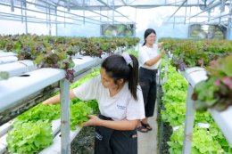 "แม็คโคร-โลตัส" โดย ซีพี แอ็กซ์ตร้า ผนึกกำลังภาครัฐ เดินหน้าบริหารจัดการขยะส่งเสริมทะเลไทยยั่งยืน