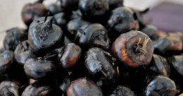 ซีพี แอ็กซ์ตร้า หนุนสินค้าเกษตร GI ลงพื้นที่ "แห้วสุพรรณ" ขยายช่องทางจำหน่ายผ่านแม็คโครโลตัสทั่วประเทศ