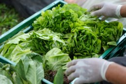 ซีพี แอ็กซ์ตร้า สานต่อความร่วมมือ กรมอุทยานฯ ส่งต่ออาหารส่วนเกิน เสริมสวัสดิภาพ พร้อมสร้างความมั่นคงทางอาหารให้สัตว์ป่าอย่างยั่งยืน