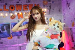 สมศักดิ์ศรีเทศกาลไอดอล! แฟนคลับแห่ร่วมงาน "BNK48 & CGM48 Fan Festival 2026" คึกคักตลอด 2 วันเต็ม ลุ้นผลด่วนเลือกตั้งเซ็มบัตสึ 