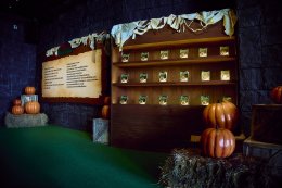 พรีวิว "Under The Castle" บ้านผีสิงแฟนตาซีเสมือนจริงครั้งแรกในไทย!! TEAM WANG design ชวนสัมผัสประสบการณ์เหนือจินตนาการ!! 7 ต.ค.  2 พ.ย. นี้ ณ เอ็มสเฟียร์