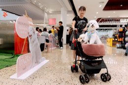 GDH จับมือ CPN จัดกิจกรรม "โกเวิร์กช็อปไปกับเจ้าโกฮัง" เนรมิตพื้นที่ศูนย์การค้า "CENTRAL WESTVILLE - CENTRAL EASTVILLE" รวมงานคราฟต์ สุดคิวต์ โดนใจกลุ่มคนรักสัตว์เลี้ยง