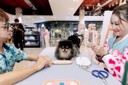 GDH จับมือ CPN จัดกิจกรรม "โกเวิร์กช็อปไปกับเจ้าโกฮัง" เนรมิตพื้นที่ศูนย์การค้า "CENTRAL WESTVILLE - CENTRAL EASTVILLE" รวมงานคราฟต์ สุดคิวต์ โดนใจกลุ่มคนรักสัตว์เลี้ยง