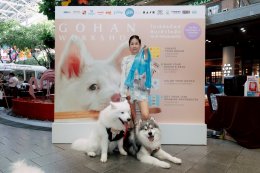 GDH จับมือ CPN จัดกิจกรรม "โกเวิร์กช็อปไปกับเจ้าโกฮัง" เนรมิตพื้นที่ศูนย์การค้า "CENTRAL WESTVILLE - CENTRAL EASTVILLE" รวมงานคราฟต์ สุดคิวต์ โดนใจกลุ่มคนรักสัตว์เลี้ยง