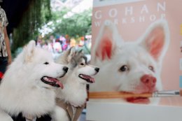 GDH จับมือ CPN จัดกิจกรรม "โกเวิร์กช็อปไปกับเจ้าโกฮัง" เนรมิตพื้นที่ศูนย์การค้า "CENTRAL WESTVILLE - CENTRAL EASTVILLE" รวมงานคราฟต์ สุดคิวต์ โดนใจกลุ่มคนรักสัตว์เลี้ยง