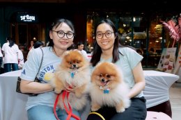 GDH จับมือ CPN จัดกิจกรรม "โกเวิร์กช็อปไปกับเจ้าโกฮัง" เนรมิตพื้นที่ศูนย์การค้า "CENTRAL WESTVILLE - CENTRAL EASTVILLE" รวมงานคราฟต์ สุดคิวต์ โดนใจกลุ่มคนรักสัตว์เลี้ยง