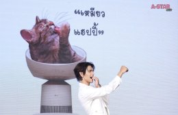 แอลจีเปิดตัวเครื่องฟอกอากาศ LG PuriCare AeroCat Tower คอนโดแมวฟอกอากาศ หายใจโล่ง แมวนอนฟิน มาพร้อมโซลูชันดูแลอากาศสะอาดสำหรับทุกสมาชิกในครอบครัว