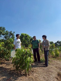 'โต๋นแตร-จุกบี้' ชวนเปิดสวนมะม่วง ของดี จ.ฉะเชิงเทรา ตามไขเคล็ดลับดันสู่ตลาดโลก ใน "เกษตรสุข"