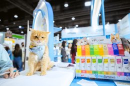 VFcore เปิดสูตรใหม่ AA Amino Acids ในงาน PET EXPO Thailand 2024 เสริมทัพสินค้า ครองแชมป์ที่ 1 ต่อเนื่อง