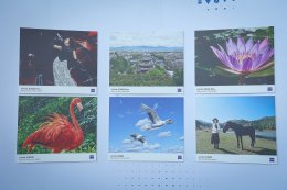 นิทรรศการภาพถ่ายเยาวชนจีน-ไทย จัดโดยมหาวิทยาลัยวิทยาศาสตร์และเทคโนโลยีหัวจง (HUST) และสำนักงานส่งเสริมเศรษฐกิจดิจิทัล (depa) ฉายภาพความสำเร็จของเยาวชนทุน ODOS  เปิดให้ชมที่ ICONSIAM วันนี้ - 18 ม.ค. 69