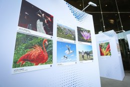 นิทรรศการภาพถ่ายเยาวชนจีน-ไทย จัดโดยมหาวิทยาลัยวิทยาศาสตร์และเทคโนโลยีหัวจง (HUST) และสำนักงานส่งเสริมเศรษฐกิจดิจิทัล (depa) ฉายภาพความสำเร็จของเยาวชนทุน ODOS  เปิดให้ชมที่ ICONSIAM วันนี้ - 18 ม.ค. 69