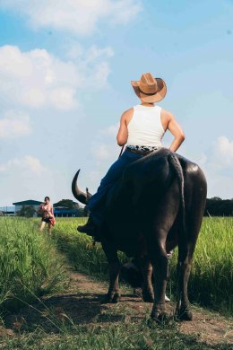 "ตั้งใจจะโสด" เพลงป็อปซาวด์สนุกสุดกวนชวนติดหูล่าสุดจาก RachYO เข้าถึงซิกเนเจอร์คน 'พยายามโสดแต่ไม่สำเร็จ' ได้อย่างตรงไปตรงมา
