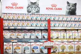 โรยัล คานิน พา สกาย-นานิ ในฐานะ Friend of Royal Canin ร่วมงาน Pet Expo Thailand 2025 เป็นครั้งแรก เดินหน้าส่งต่อความรู้ความเข้าใจด้านโภชนาการอาหารให้กับเจ้าของน้องแมวน้องหมา