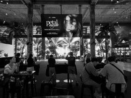 ฉลองอัลบั้มใหม่ petal จาก Ariana Grande สุดคึกคักจนไม่อยากกลับบ้าน ในงาน ariana grande - petal thailand album launch event ที่ EMSPHERE ยิ่งใหญ่สมการรอคอยที่สุด