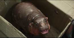 'แจ็ค แฟนฉัน' ก้าวไปอีกขั้น! นั่งแท่นผู้จัด "ฟู้ดทรัค ลัก(รัก)หมูเด้ง" เพื่อนซี้ 'เอ็กซ์' ร่วมกำกับ ดึง 'บอล-วิทยา' แท็กทีมโปรดิวเซอร์ร่วม