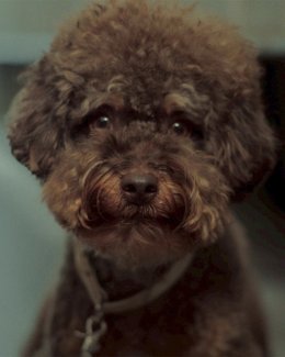 _less ส่งซิงเกิลใหม่ "เมื่อต้องรอ (waiting eyes)" เสียงแทนสายตาที่เฝ้ามองใครบางคน