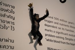 MOCA BANGKOK จัดแสดงนิทรรศการ "Mammals" ผลงานศิลปะสื่อผสมที่รังสรรค์จากหัวใจ โดย วิษณุพงษ์ หนูนันท์