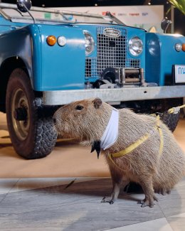 GDH ร่วมกับ Sony Pictures International Productions จัดงานกาล่าพรีเมียร์ "HENRYs First Dates จีบซ้ำซ้ำ เฮนรี่จำไม่ได้" 'ณเดชน์-มินนี่' นำทัพสายฮา 'ป๋ากิ๊ก-เบิ้ล-วิเวียน' การันตีความบันเทิง 