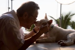 'คิตะ' นักแสดงญี่ปุ่นวัย 70 สุดปลื้ม เล่นหนังไทยเรื่องแรก ฟีดแบ็กแรง! แท็กทีม 'โกฮังวัยเด็ก' ฮีลใจทุกครอบครัว รับวันสงกรานต์และวันผู้สูงอายุ "โกฮัง..หัวใจโกโฮม" ฉายแล้ววันนี้ในโรงภาพยนตร์